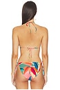 view 3 of 5 Triangle Bikini Top in Atlantic Rain Forest Multicolored