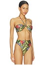 view 2 of 4 TOP BIKINI in Strilitzia Dark Green