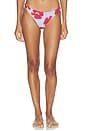 view 1 of 4 BRAGUITA BIKINI BASIC in Poppy Flowers