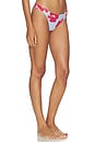 view 2 of 4 BRAGUITA BIKINI BASIC in Poppy Flowers
