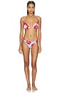 view 4 of 4 BRAGUITA BIKINI BASIC in Poppy Flowers