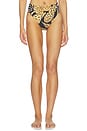 view 1 of 5 All Over Hot Pants in Animal