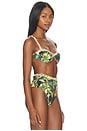 view 2 of 5 Bird Leaves Underwire Bikini Top in Sand