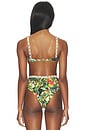 view 3 of 5 Bird Leaves Underwire Bikini Top in Sand