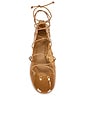 view 4 of 5 ZAPATO PLANO SEA LACE UP JELLY BALLERINA in Toffee