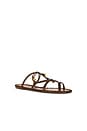 view 2 of 5 Sea Flat Sandal in Sand & Walnut
