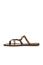view 5 of 5 Sea Flat Sandal in Sand & Walnut