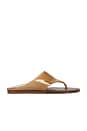 view 1 of 5 Jelly Thong Flat Sandal in Walnut