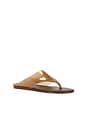 view 2 of 5 Jelly Thong Flat Sandal in Walnut