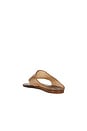view 3 of 5 Jelly Thong Flat Sandal in Walnut