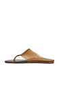view 5 of 5 Jelly Thong Flat Sandal in Walnut