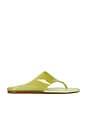 view 1 of 5 SANDALES JELLY THONG FLAT in Sage Green