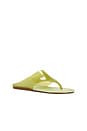 view 2 of 5 SANDALES JELLY THONG FLAT in Sage Green