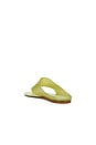 view 3 of 5 SANDALES JELLY THONG FLAT in Sage Green