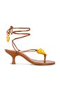view 1 of 5 Shell Macrame Kitten Heel in Cuoio
