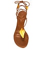 view 4 of 5 Shell Macrame Kitten Heel in Cuoio