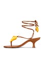 view 5 of 5 Shell Macrame Kitten Heel in Cuoio