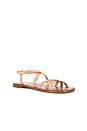 view 2 of 5 Spring Flat Sandal in Blush
