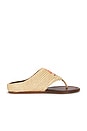view 1 of 5 Raffia Icons Flat Sandal in Flower Walnut
