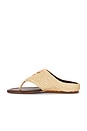view 5 of 5 Raffia Icons Flat Sandal in Flower Walnut