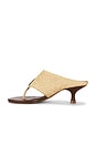view 5 of 5 TACÓN RAFFIA ICONS KITTEN in Walnut Banana