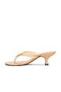 view 5 of 5 SANDALIA ROB HEEL in Old Blush