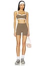 view 4 of 4 Contrast Layered Sports Bra in Walnut & Pink