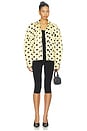 view 5 of 5 VESTE CHEMISE WANDA in Polka Dot Lemon