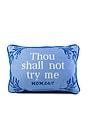 view 1 of 5 Try Me Needlepoint Pillow in 
