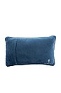 view 2 of 3 More Issues Needlepoint Pillow in 