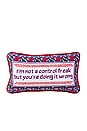 view 1 of 3 Control Freak Needlepoint Pillow in 