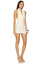 view 2 of 3 Aurella Dress in Buttermilk