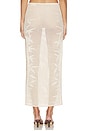view 5 of 7 FALDA ZHENYA in Shell