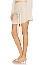 view 3 of 6 Cabriah Skirt in Stone