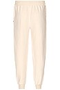 view 3 of 3 Blankeblend Jogger in Oatmilk