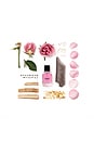 view 3 of 6 Cash Flower Extrait 50ml in 