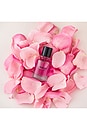 view 4 of 6 Cash Flower Extrait 50ml in 