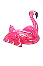 view 1 of 3 Glitter Flamingo in Clear Pink