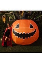 view 5 of 4 Halloween Constant Air Pumpkin in 