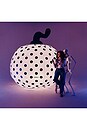 view 5 of 5 Halloween Constant Air Polka Dot Pumpkin in 