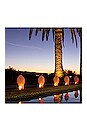 view 2 of 6 Light Up Holiday Bulbs 2 Pack in 