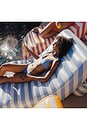 view 4 of 5 Chaise Lounger in Denim Stripe