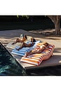 view 5 of 5 Chaise Lounger in Denim Stripe