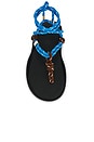 view 4 of 5 Flò Twin Sandal in Sky Blue & Brown