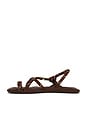 view 5 of 5 Fl Square Sandal in Brown