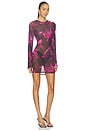 view 2 of 3 Mesh Mini Dress in Dark Spaced Roses