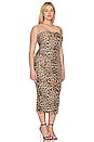 view 4 of 6 Ruched Mesh Midi Dress in Good Leopard003