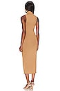 view 5 of 7 Sleeveless Turtleneck Midi in Pecan001