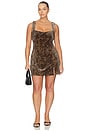 view 2 of 6 Velvet Mini Dress in mini lucky leopard