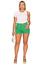 view 8 of 8 Good '90s Short in Summer Green02